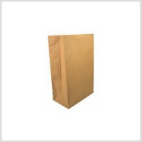 kraft paper bag market bag/250u
