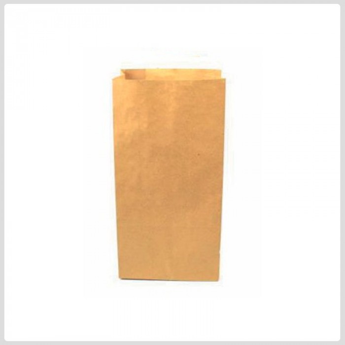 6 lb Kraft Paper Bag