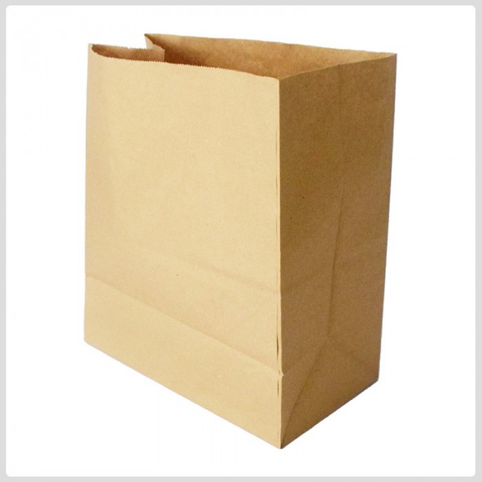 Bolsa de papel Kraft To Go /250 U