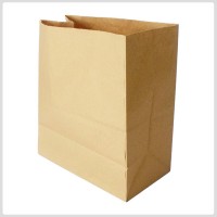 Kraft To Go Paper Bag /250 U