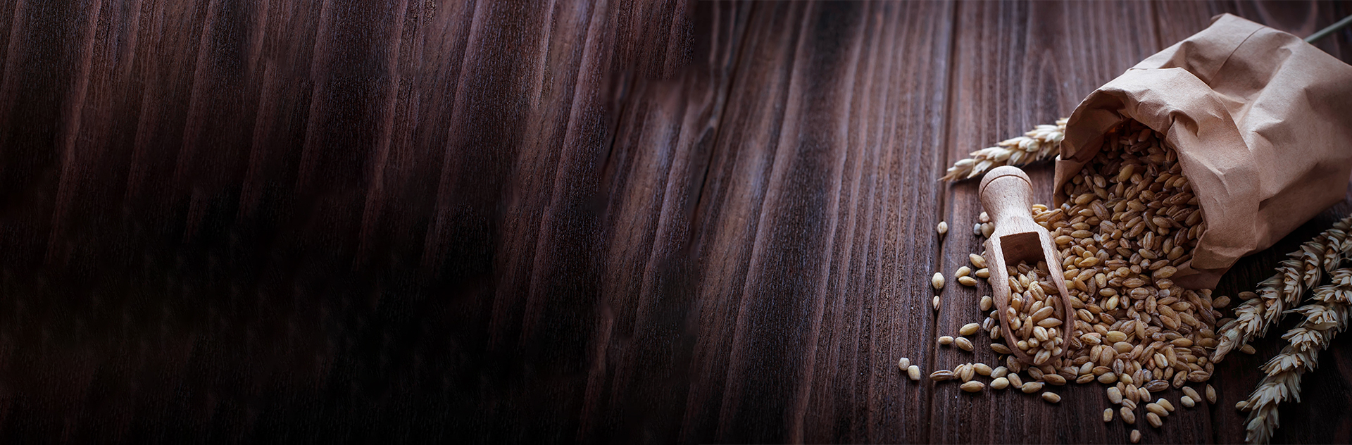 Slide background