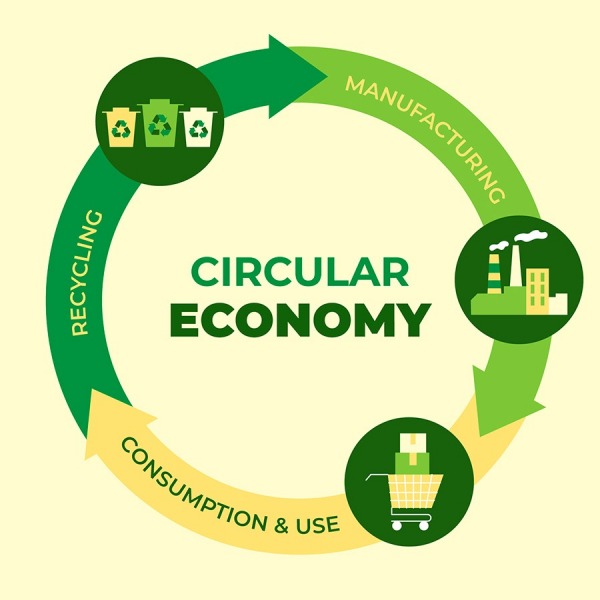 Bolsas y empaques de papel: por excelencia promotores de la economía circular